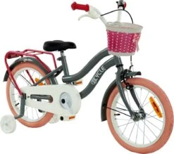 2Cycle Pretty Meisjesfiets - 16 Inch - Grijs-Roze - Meisjesfiets 9 2Cycle Pretty Meisjesfiets - 16 Inch - Grijs-Roze - Meisjesfiets -Velo Pour Tous 1200x1062 2