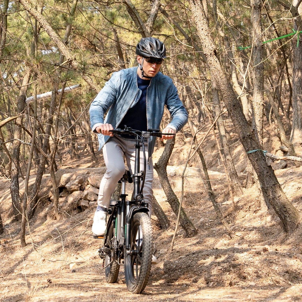 HITWAY Elektrische Fiets - E-Bike - 11,2Ah - 250 W - 20 Inch Fatbike 5 HITWAY Elektrische Fiets - E-Bike - 11,2Ah - 250 W - 20 Inch Fatbike – Image 5