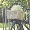 Rieten Fietsmand - 50×40×30cm - Fietsmand Rotan Van Vergrijsd Rotan – Groot - Het Mandenhuys