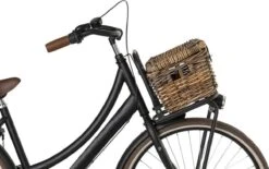 Fastrider Sera Rotan Fietsmand - Bruin - 8L - Handgemaakt - Met Klep 13 Fastrider Sera Rotan Fietsmand - Bruin - 8L - Handgemaakt - Met Klep -Velo Pour Tous 1200x753 12