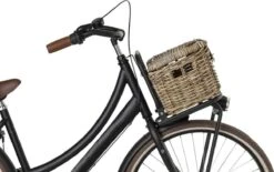 Fastrider Sera Rotan Fietsmand - Naturel - 8L - Handgemaakt - Met Klep 15 Fastrider Sera Rotan Fietsmand - Naturel - 8L - Handgemaakt - Met Klep -Velo Pour Tous 1200x753 7