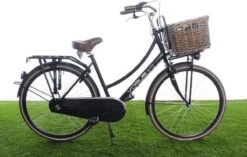 New Looxs Brisbane Large Fietsmand Voordrager - 39 Liter - Rotan - Bruin -Velo Pour Tous 1200x763 9