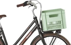 Fastrider Fietskrat Groot - Mint Groen - 34L -Velo Pour Tous 1200x770 5