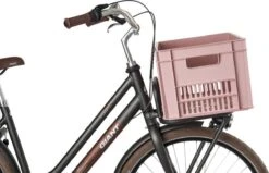 Fastrider Fietskrat Groot - Oudroze - 34L -Velo Pour Tous 1200x773 4