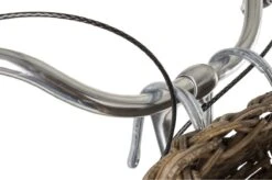 Fastrider Elif Rotan Fietsmand - Bruin - 16L - Handgemaakt -Velo Pour Tous 1200x795 28