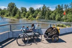 Burley Bee Double Kinderfietskar - Twee Kinderen -Velo Pour Tous 1200x800 143