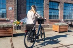 Fastrider Sverre - Achterdrager Fietsmand - Kunststof Riet - 30 Liter - Bruin -Velo Pour Tous 1200x800 299