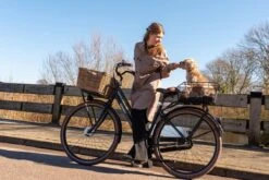 Fastrider Olav Fietsmand Voor Achterdrager - Inclusief Bevestiging - 25 Liter - Metaal - Zwart 18 Fastrider Olav Fietsmand Voor Achterdrager - Inclusief Bevestiging - 25 Liter - Metaal - Zwart -Velo Pour Tous 1200x800 311