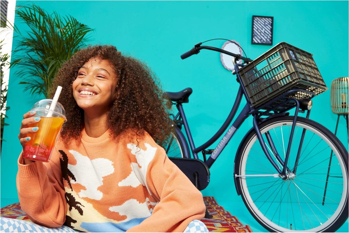 Cortina Fietskrat San Francisco - AVS-dragers - Zwart - 33 L 3 Cortina Fietskrat San Francisco - AVS-dragers - Zwart - 33 L – Image 3