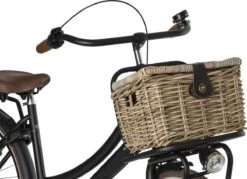 Fastrider Sera Rotan Fietsmand - Naturel - 8L - Handgemaakt - Met Klep 14 Fastrider Sera Rotan Fietsmand - Naturel - 8L - Handgemaakt - Met Klep -Velo Pour Tous 1200x871 3