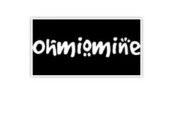 Setje: Bagagedrager-kussen + Rug-rolkussentje Incl Rugleuning Ohmiomine Kool Zwart 011 -Velo Pour Tous 1200x900 63