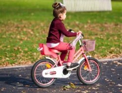 Amigo Magic Meisjesfiets - Kinderfiets 14 Inch - Wit -Velo Pour Tous 1200x917 45