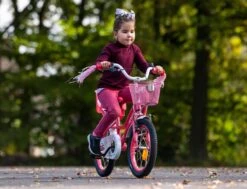Amigo Magic Meisjesfiets - Kinderfiets 12 Inch - Roze -Velo Pour Tous 1200x917 55