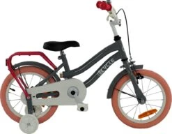 2Cycle Pretty Kinderfiets - 14 Inch - Grijs-Roze - Meisjesfiets -Velo Pour Tous 1200x931