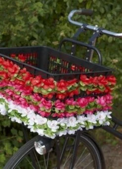 Basil Flower Garland Bloemenstreng - Wit -Velo Pour Tous 870x1200 1
